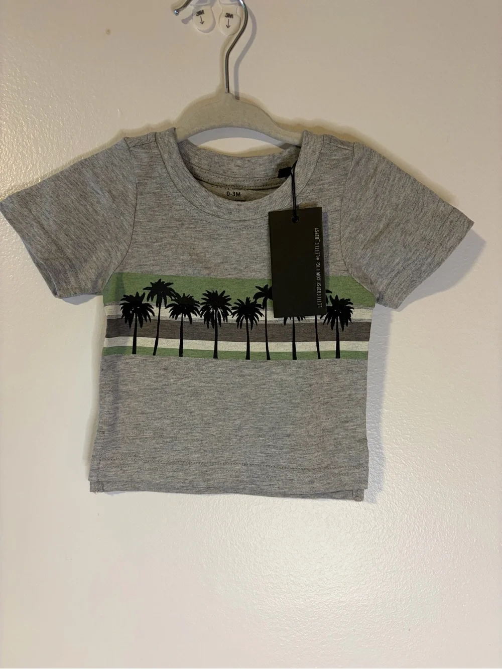 Little Bipsy Grey Tee with Green Palm Stripe
